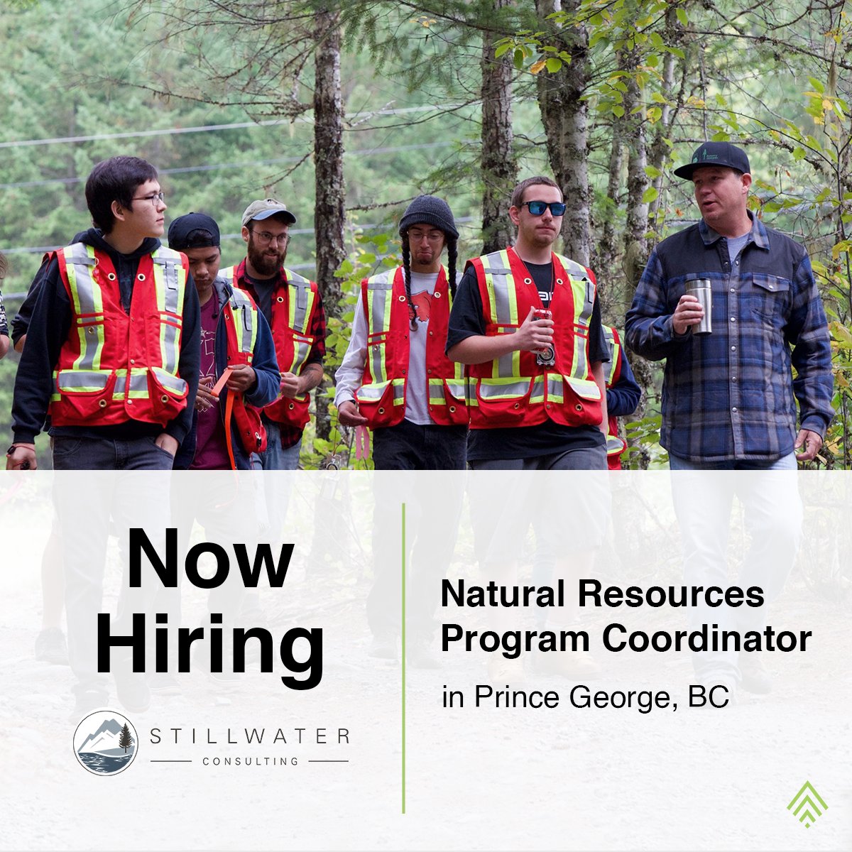 Stillwater Consulting Ltd. is now hiring a Natural Resources Program Coordinator. 

Learn more and apply now: jobs.timberconnect.ca/job/828028-nat…