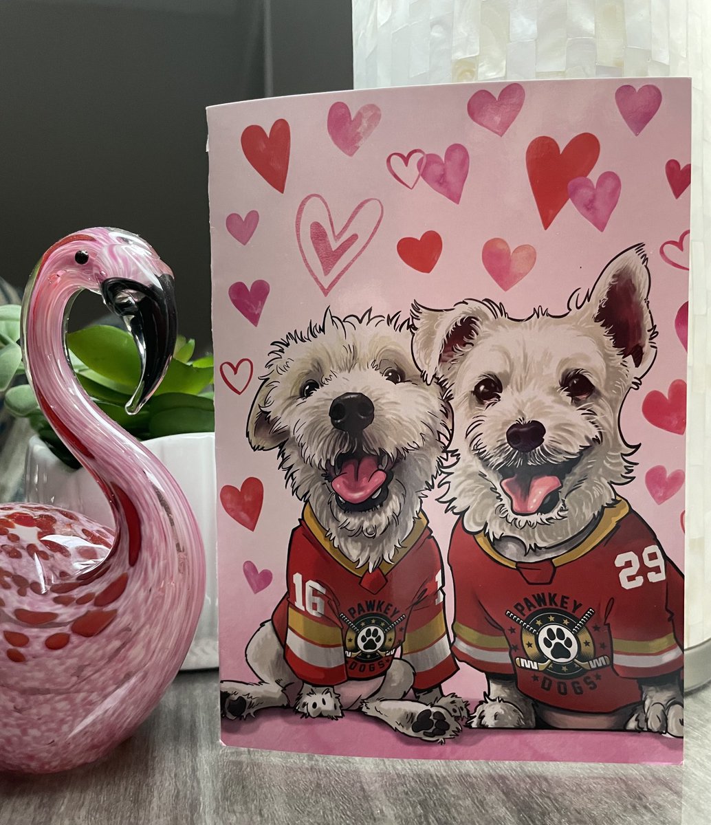 My two favorite guys sent me a Valentine💖 Love y’all and the #PawYouNeedIsLove family. #AStrongerFamilyTogether ⁦@BarkAndreFurry⁩ ⁦@DekeHenriFurry⁩