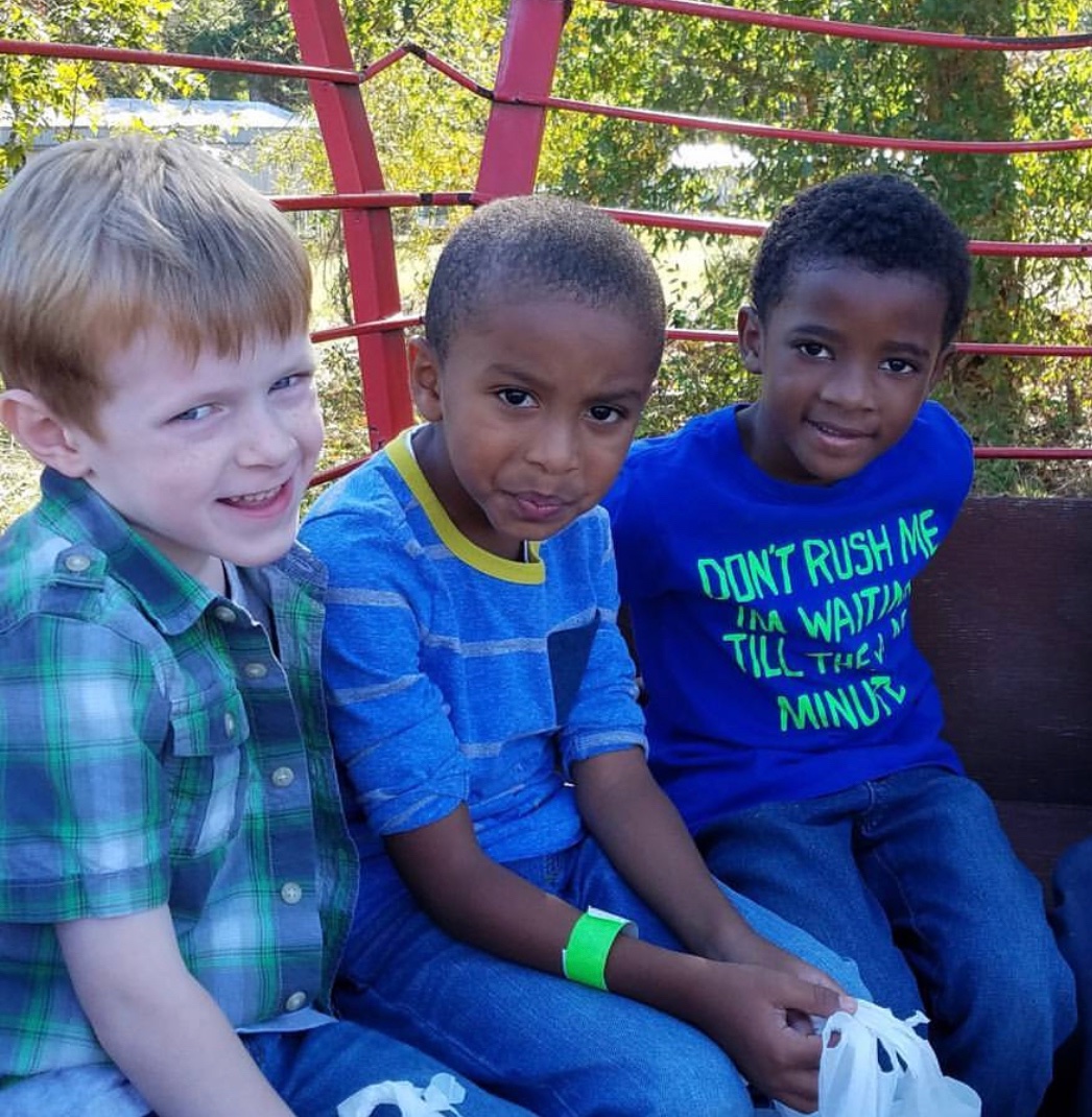 Lisl Howell tweet media