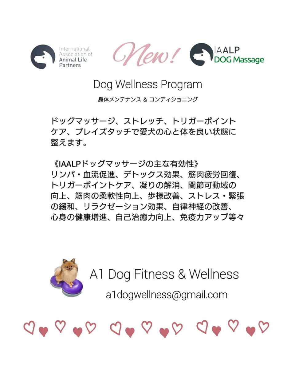 A1DogFitness's tweet photo. 愛犬のための身体メンテナンス&コンディショニング💜プログラムにスタメン入りします♪
#APRIA #犬のリハビリ #iaalp #ドッグフィットネス #アニマルハーブボール #動物経絡温灸 #ドッグマッサージ #プレイズタッチ #ポメラニアン #トイプードル #ミニチュアダックス #シニア犬 https://t.co/HK5YTM9D4s