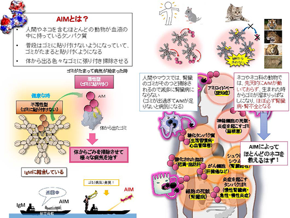 第21回 宮崎徹先生とトークイベント・前編│フェリシモ猫部 https://t.co/LxgXL6tEeQ 