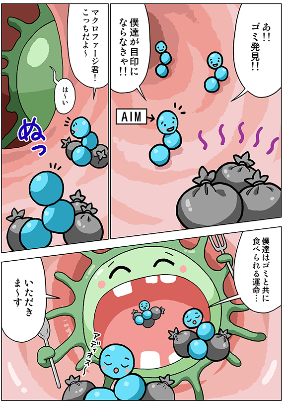 第21回 宮崎徹先生とトークイベント・前編│フェリシモ猫部 https://t.co/LxgXL6tEeQ 