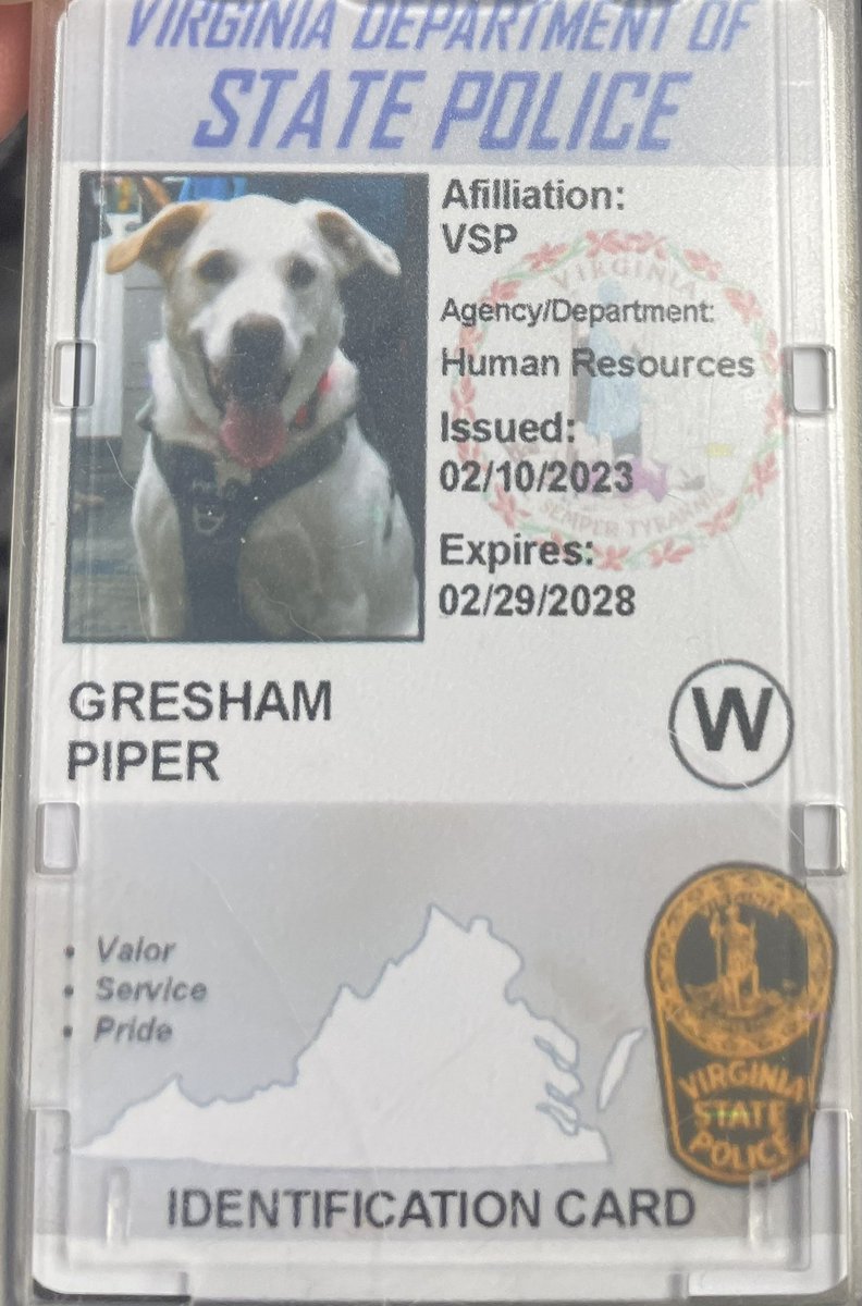 What a GREAT first day of work at Virginia State Police <a href="/VSPPIO/">VA State Police</a> Everyone was motivated, welcoming and friendly.  And they LOVE Piper! #OfficerWellness
#mindfulness
#resiliency
#optimism
#rescuedogs
#servicedogs
#TherapyDog