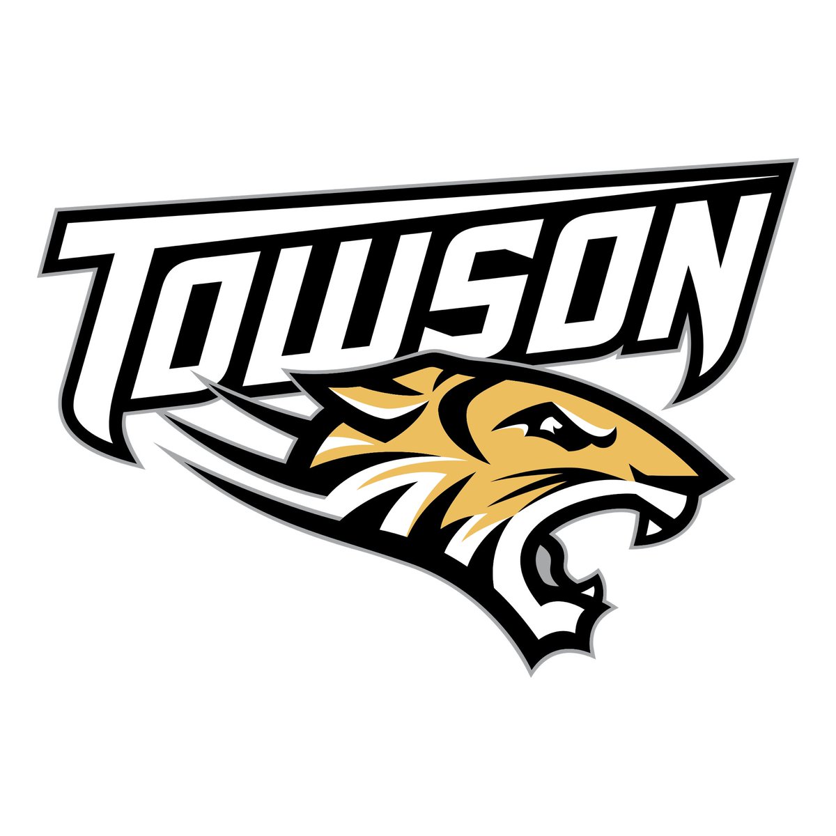 After a great conversation with <a href="/coachbshep/">B. Sheppard</a> I have received a D1 Offer from the University of Towson!! ⚫️🟡<a href="/Towson_FB/">Towson Football</a>