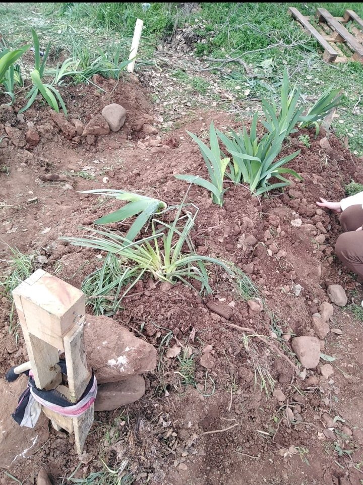 HAPİSTE MEZAR DA YANINDAYIM SÖZ DEMİŞTİM... BEN HEP BURDAYIM GARDAŞIMMM..
<a href="/kardelengkcoglu/">kardelen</a>