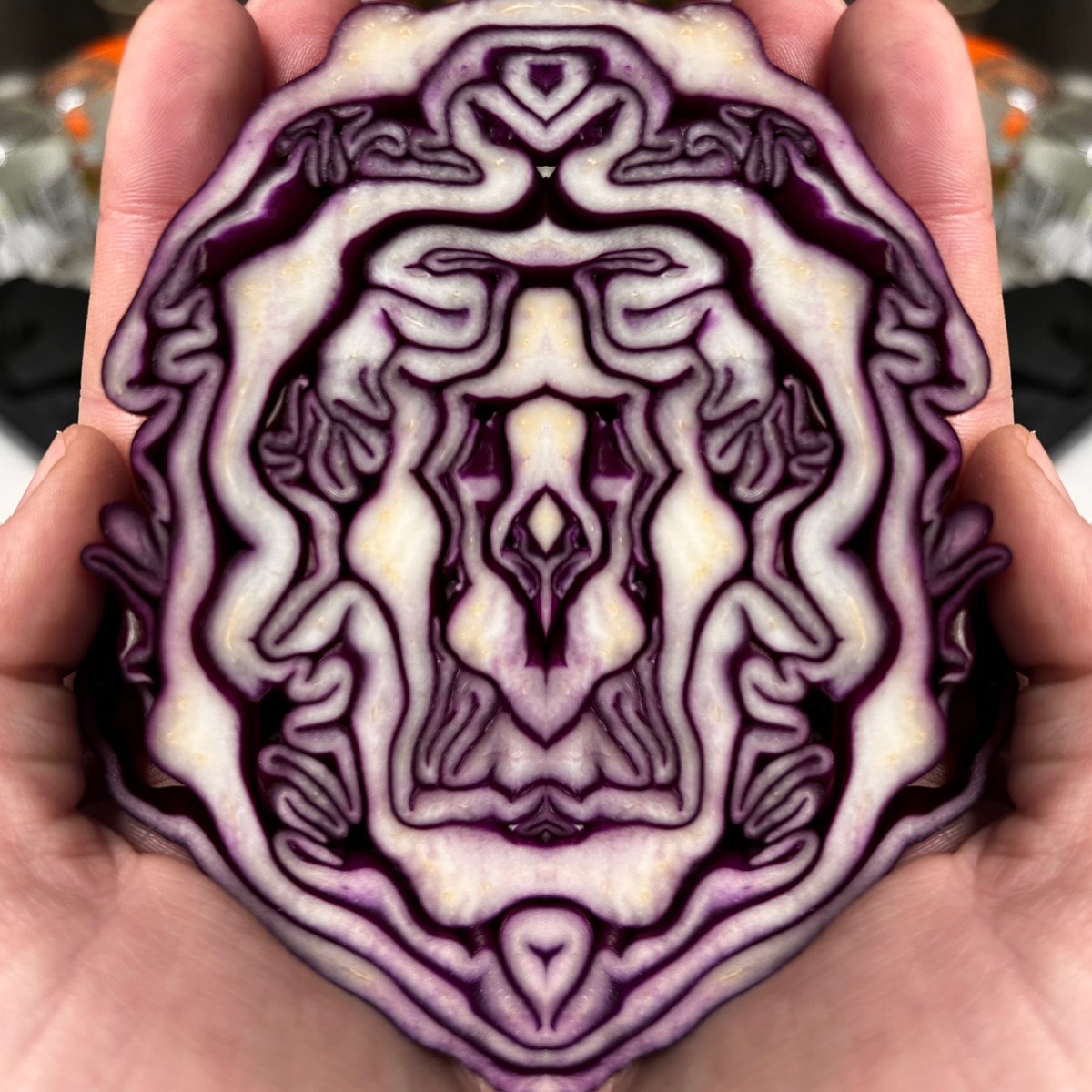 Theres phenomenal beauty in what we grow.
#GardeningTwitter