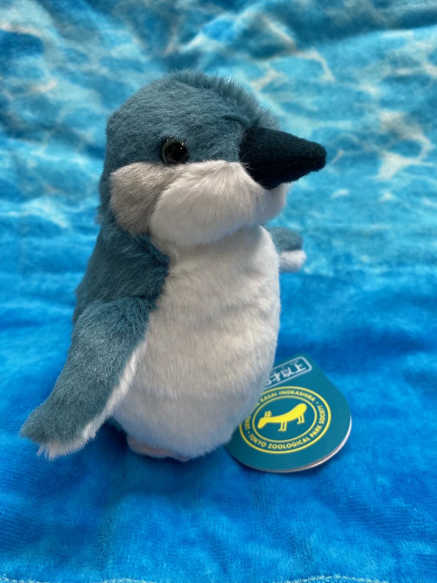 🐟ギフトショップよりお知らせ🐟 オリジナルのフェアリーペンギンの