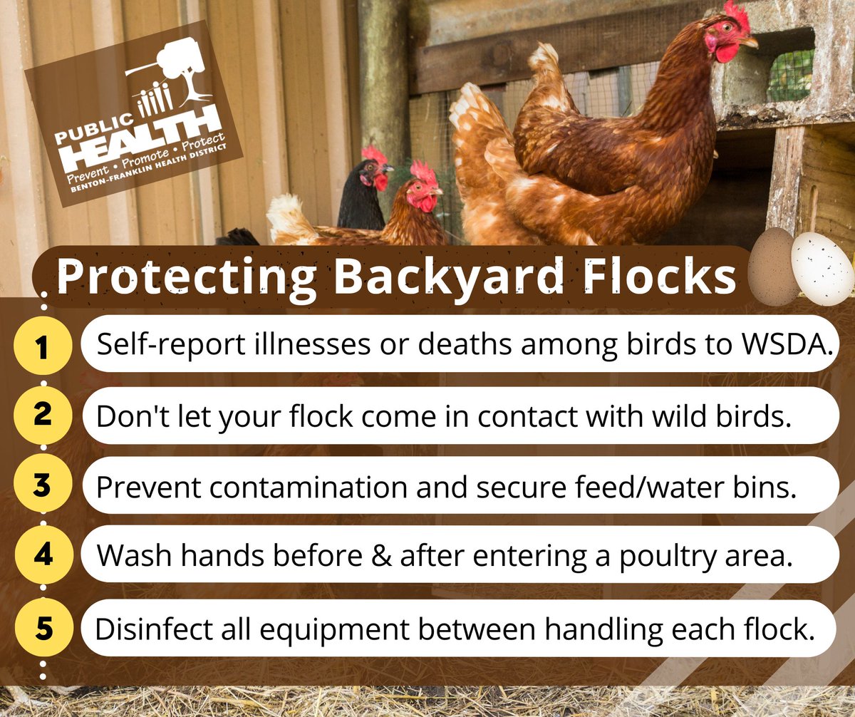 Washington State Department of Agriculture on Twitter: "RT @BFHD