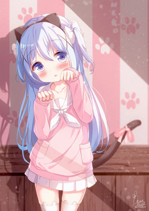 猫チノちゃん 