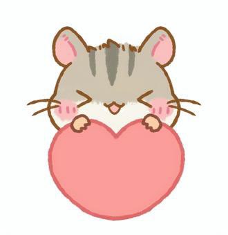 nekonomimoza @no_TL 左からジャンガリアン、ゴールデン、パール