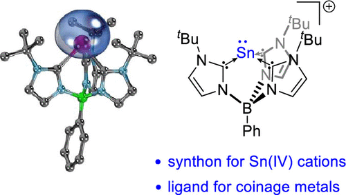 bhkenlo's tweet image. Utilization of a Tris(carbene)borate Ligand for Umpolung Reactivity of a Nucleophilic Tin(II) Cation Salt pubs.acs.org/doi/10.1021/ac… Hu and Liu @InorgChem #tin #carbene #borate #TCB #umpolung #σ_donating #π_accepting #coinage_metals #NBO #IBO #nucleophilicity