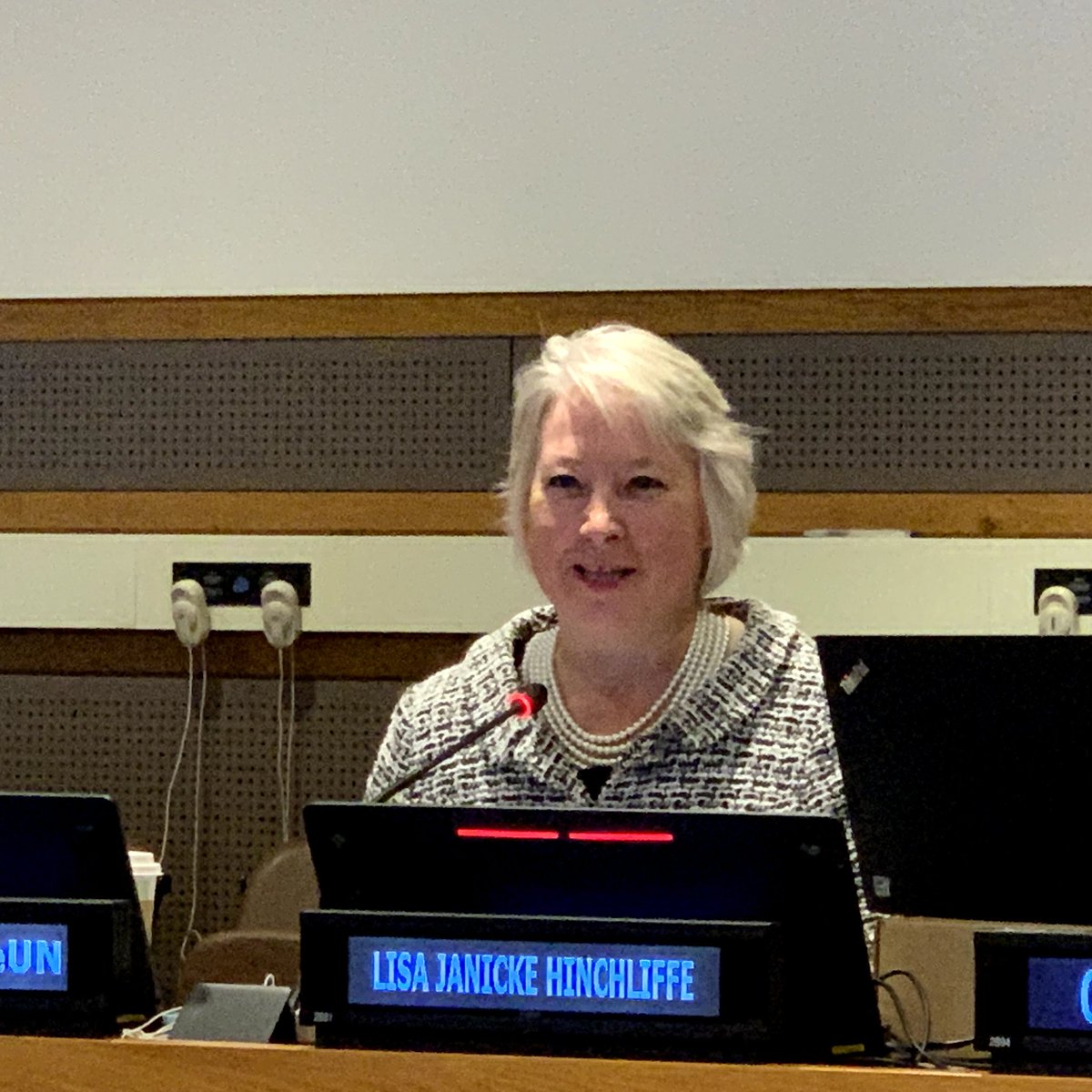 Lisa Janicke Hinchliffe tweet media