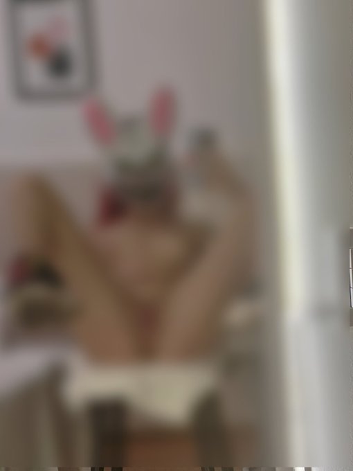 2 pic. Sigue al conejo🐰 https://t.co/S3XzZw1zVW