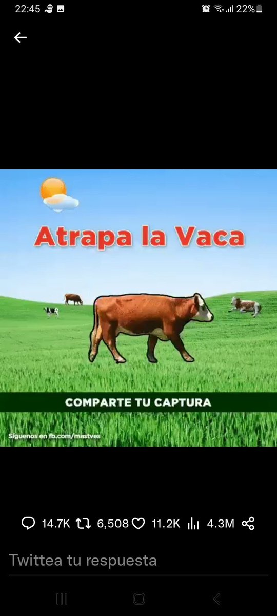 roni277's tweet photo. @momentoviral El que puede puede https://t.co/6UUjb7fyM9