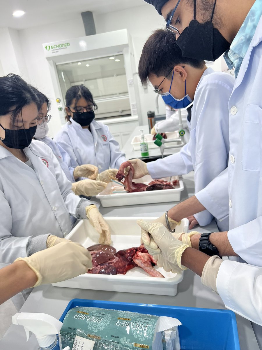 Dissection makes anatomy learning more enjoyable. It does only permits better learning in anatomy but also familiarizes the students with concepts of professionalism, manual dexterity, teamwork, self and peer-evaluation, and ethics… Sixthform Biology <a href="/HELPISKL/">HELP International School</a> <a href="/HISSixthform/">HELP International School SixthForm</a>