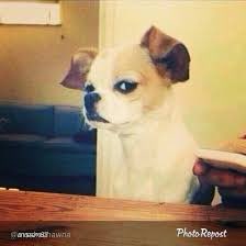 Tamarion Crumpley tweet media