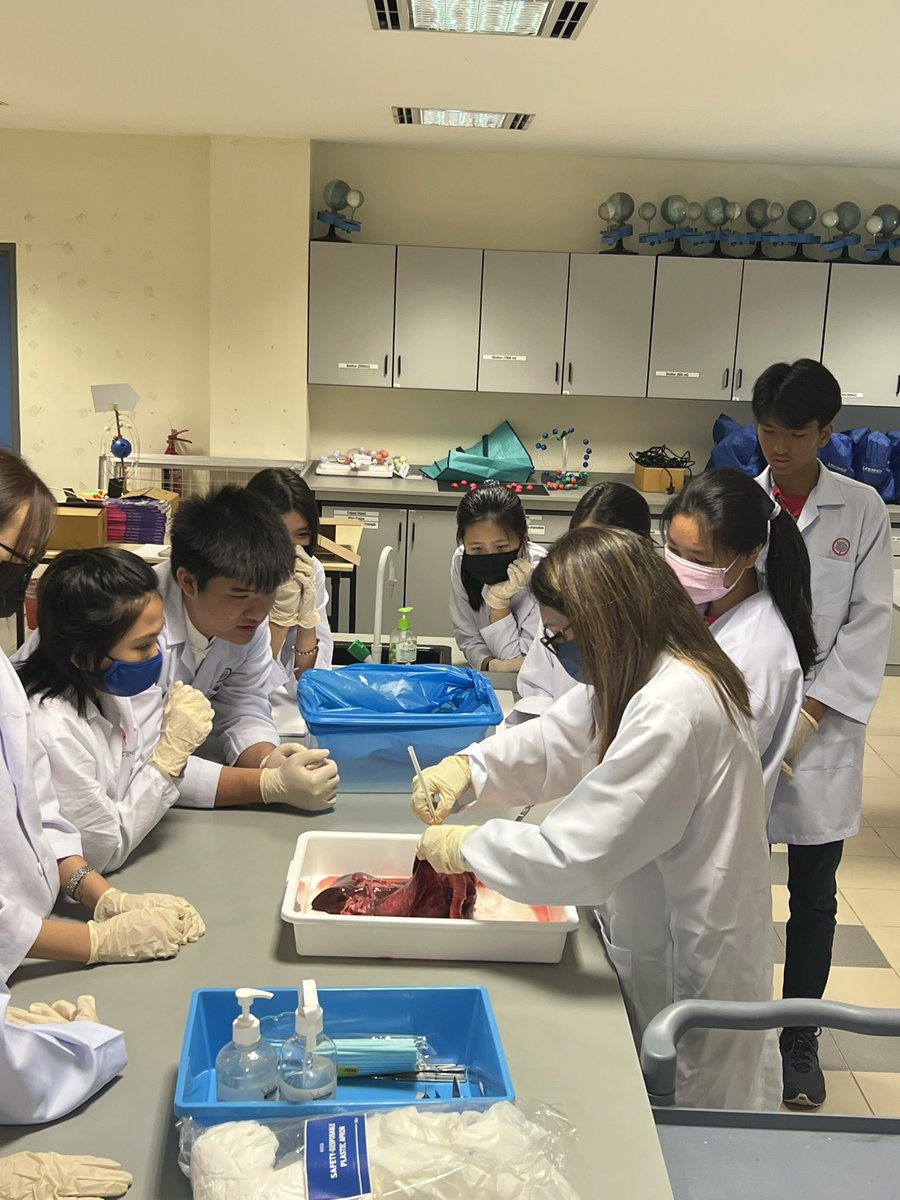 Dissection makes anatomy learning more enjoyable. It does only permits better learning in anatomy but also familiarizes the students with concepts of professionalism, manual dexterity, teamwork, self and peer-evaluation, and ethics… Year10 Biology <a href="/HELPISKL/">HELP International School</a>