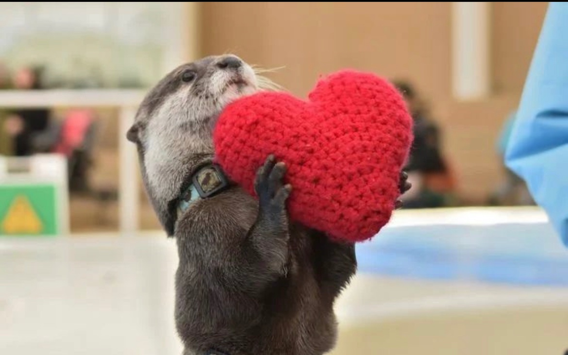 1982VintageNut ⊙⊝⊜ tweet media