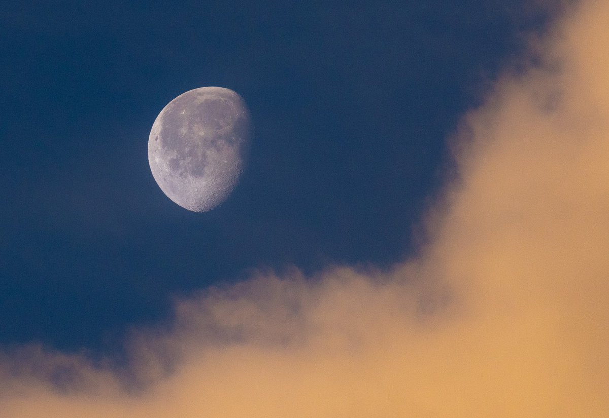 jtaldersphoto's tweet photo. The moon overlooking the sunrise this morning in #SpringLake, #NewJersey.
The weather was beautifully mild...56 degrees and the sun was warm and intense.
#canon #eosr5 #canonr5 #canonphotography #photography #photooftheday #sunrise #moon #moonphotography #springlakenj https://t.co/kzVnmGZVhi