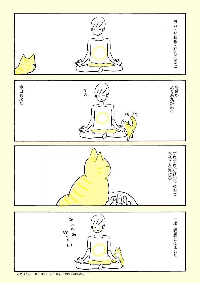 瞑想ねこ(再掲載)
#さくまのまんが 