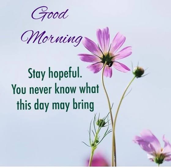 Good morning everyone!🌷🌻🌼

Let’s make today great … or at least better than last night!

Happy Saturday! Have a great weekend!

<a href="/KissesDelavin/">Kisses Delavin</a>
#KissesDelavin