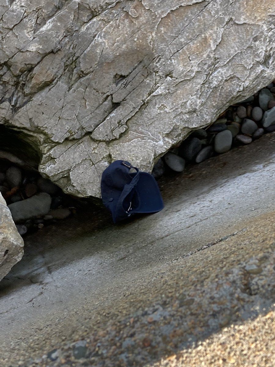SueMo428dog's tweet photo. Beach happenings. Hat lost, met old friend, then daughter for lunch & hat hero rescue #Hull #themaggs #greatday https://t.co/71sb7bYEtQ