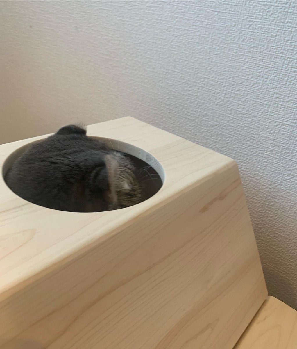 tapineko1118's tweet photo. たぴの遊び場系を探してたら見つけたキャットアスレチック#Nekonos （ @wodd_kiso ）

ひのきの香りがすごい良くて、たぴも直ぐに穴にズボズボ入ってた笑笑

#猫のいる暮らし #キャットタワー
#w_odd #猫のおもちゃ
#キャットアスレチック
#木曽ひのき https://t.co/G91sYSlTzR