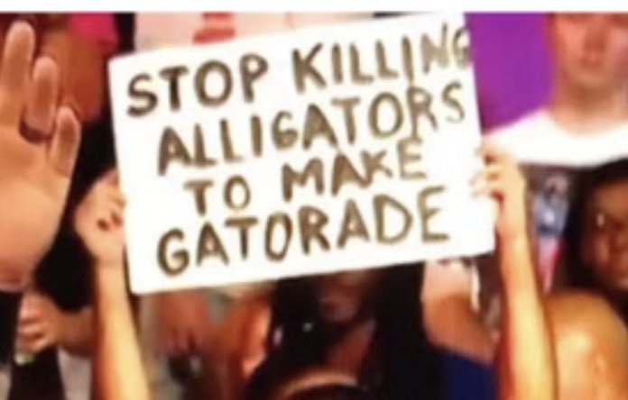 Wrestle Signs (@wrestiingsigns) on Twitter photo 