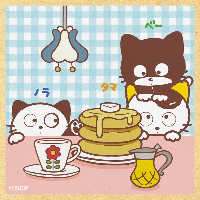 バターとはちみつたっぷり😋の美味しいホットケーキ🍽喫茶チューリップ🌷の人気メニューです#うちのタマ知りませんか #タマア