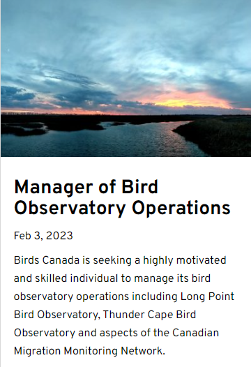 BirdsCanada_ON's tweet photo. #Job offer: Manager of #Bird Observatory Operations @BirdsCanada. This highly motivated &amp; skilled individual would manage its bird observatory operations including @LongPointBirdOb, Thunder Cape #TCBO &amp; aspects of the Canadian Migration Monitoring Network. https://t.co/szVXVoiVR8 https://t.co/ypws6w8Acl