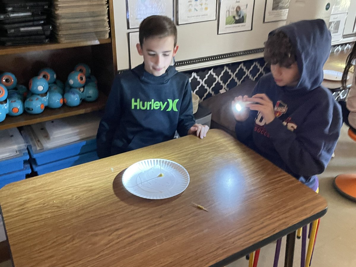 Susan Trizinsky tweet media