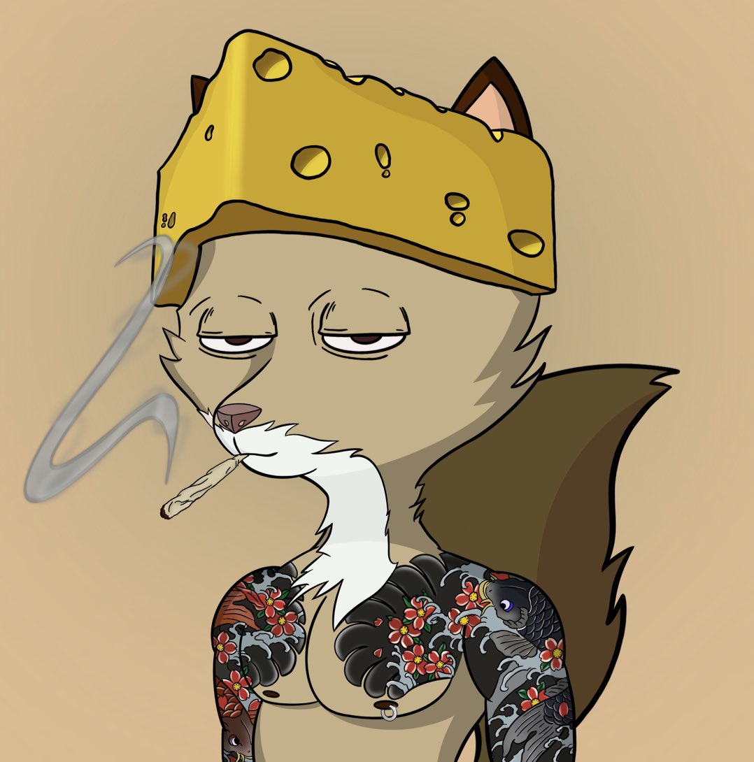 hakimharmony's tweet photo. Just got my first #BadFox 🦊 @BadFoxMC Chedda always on my mind🧀💰 is #foxfollowfox still a thing? https://t.co/u4Jv0lBK53