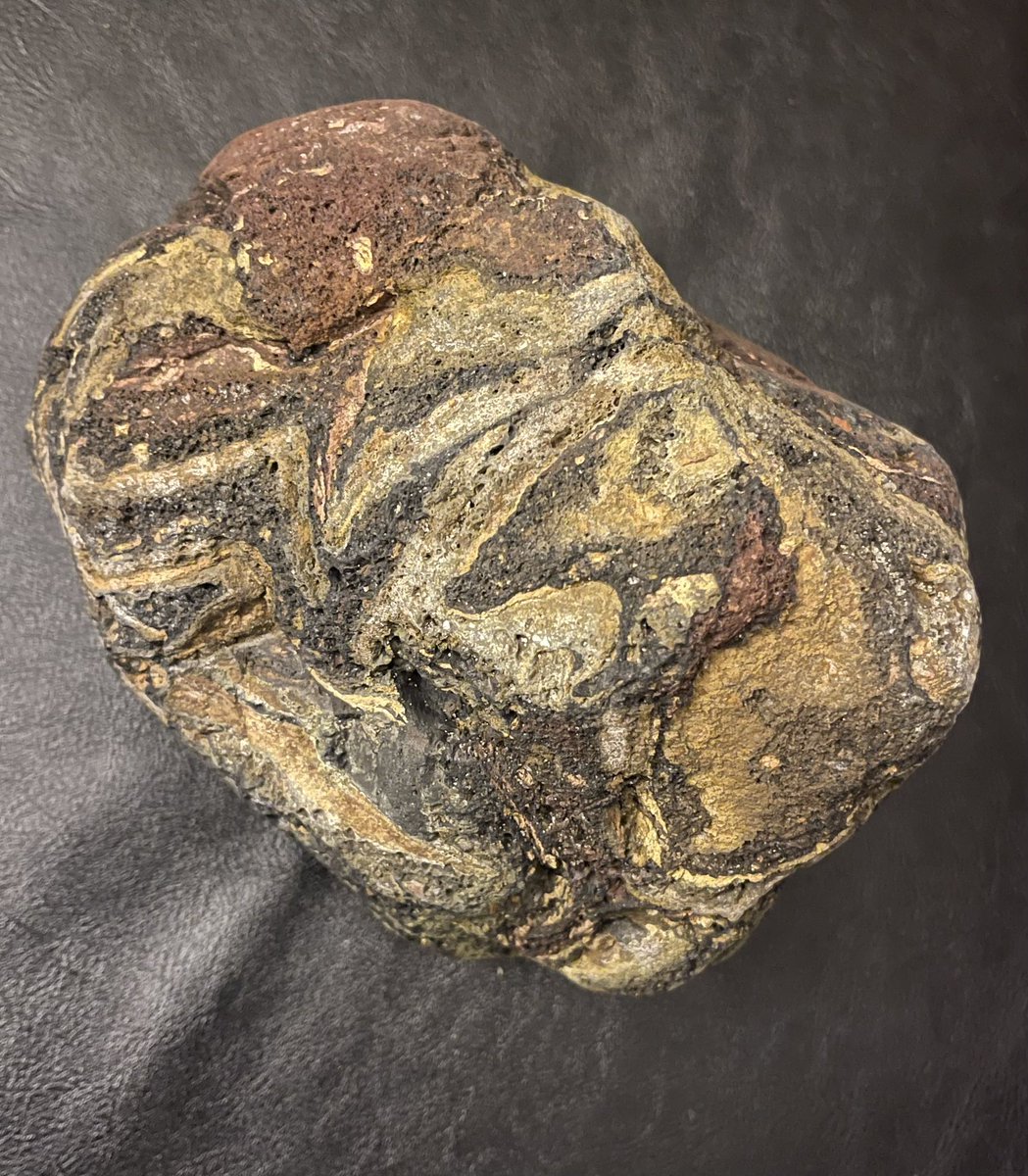 jillpestana's tweet photo. Found a rock on the beach in Goleta, CA. Any geologists know why this lava rock is green/yellow/black/red? What type(s) of minerals are these?
#geologist #geology #rockidentification @stevenpest https://t.co/v2sBiTzXl1