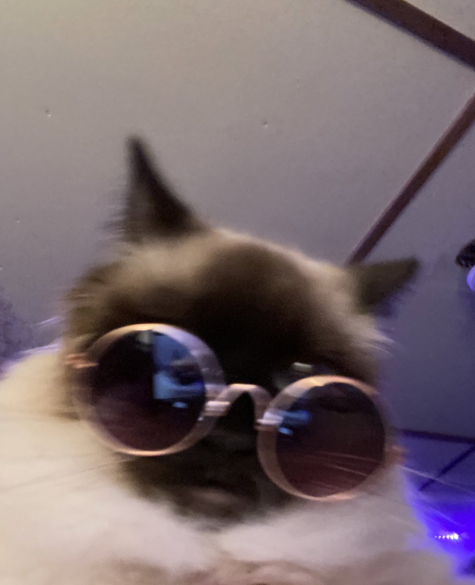i bought her some glasses