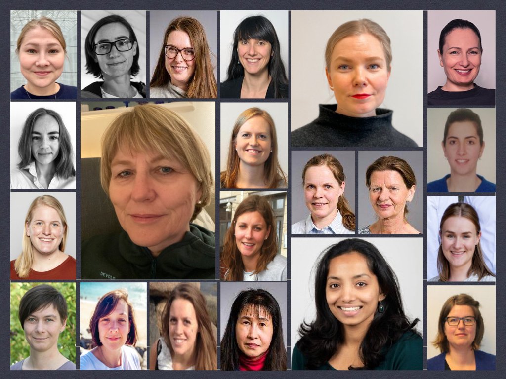 Oslo Centre for Biostatistics and Epidemiology (@ocbe_unioslo) on Twitter photo Important day! We celebrate the International Day of Women and Girls in Science with some of the fantastic women working at our center <a href="/UniOslo_MED/">UiO - Det medisinske fakultet</a>
<a href="/Oslounivsykehus/">Oslounivsykehus</a>
We'd like to inspire many girls to study Statistics, a key asset for the future
#WomenInSTEM Important day! We celebrate the International Day of Women and Girls in Science with some of the fantastic women working at our center <a href="/UniOslo_MED/">UiO - Det medisinske fakultet</a>
<a href="/Oslounivsykehus/">Oslounivsykehus</a>
We'd like to inspire many girls to study Statistics, a key asset for the future
#WomenInSTEM