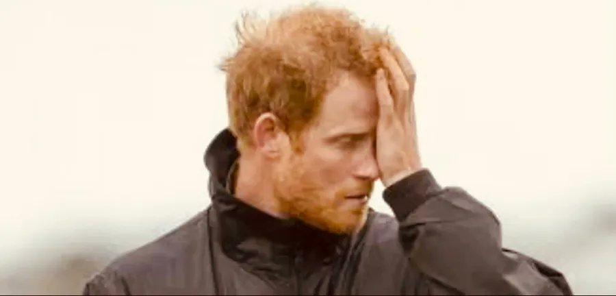 TheWantonWench's tweet image. At which point do you think Harry will say to himself, “what have I done, I’ve gone too far”?