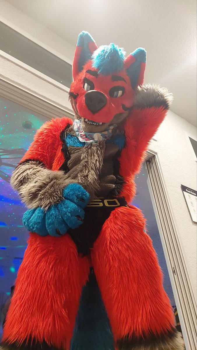 TateStrikerWolf's tweet photo. More jock strap suit pics for #FursuitFriday
#divication https://t.co/gGc3XxusUu