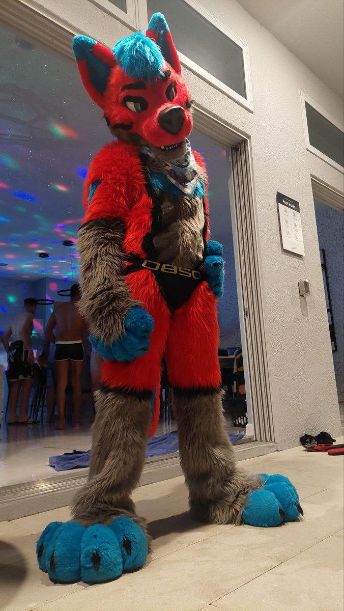 TateStrikerWolf's tweet photo. More jock strap suit pics for #FursuitFriday
#divication https://t.co/gGc3XxusUu