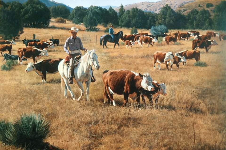 'Mothered Up' painting by Tim Cox

#MotheredUp #TimCoxFineArt #Cowboyart #cowboy #cows #herefords #ranchlife #ranchwork #cowboyway #cowboyart #westernart #cowboyartist #ridinghorses #workingcows #ranchhorse