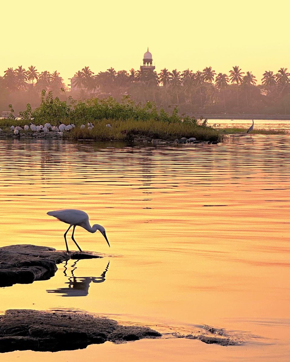 Rankala lake ✨ 
#ShotoniPhone #iPhone14Pro #ThePhotoHour #Kolhapur  #MaharashtraUnlimited