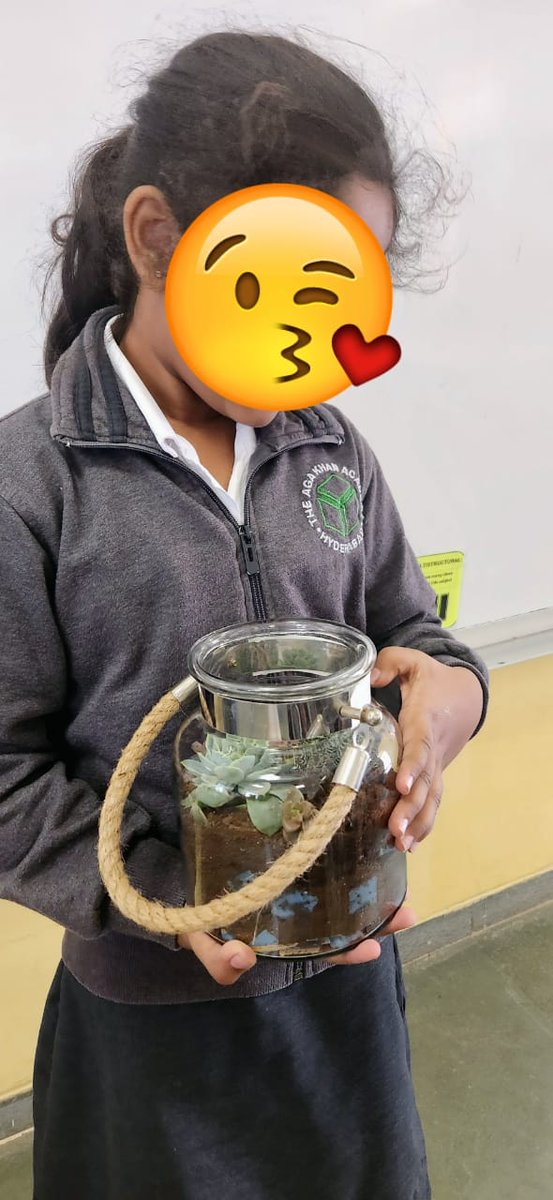 MadhulitaPat's tweet photo. #CrewOneKindlers are exploring how biotic🌿🐞🐛&amp; abiotic☀️🫧 things interact in an ecosystem! 

Ss designed and constructed their own terrariums and will be studying them and recording observations over time⏲️ #SharingThePlanet #ibakah #pypchat 
@SimranS40735194 https://t.co/HIjWcYL4Mb