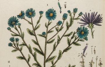 Discover the secret histories of some of the pioneer women who contributed to science with our <a href="/googlearts/">Google Arts&Culture</a> exhibit. Explore their inventiveness, tenacity and innovations through the Royal Society collections.  #InternationalDayOfWomenAndGirlsInScience  artsandculture.google.com/story/5wVRHD47…