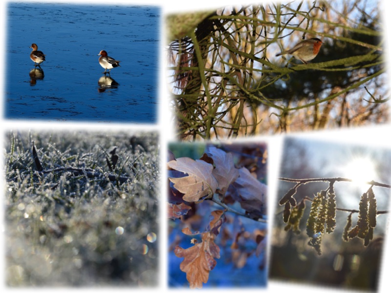"An early morning walk is a blessing for the whole day. " -Henry David Thoreau

#nature #morningwalk #NaturePhotography #February2023 #outdoors #woodland #Nikon #nikonphotography <a href="/UKNikon/">Nikon UK & Ireland</a>