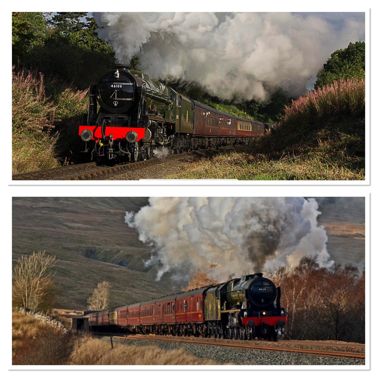 Today’s subject #RoyalScot and #ScotsGuardsman