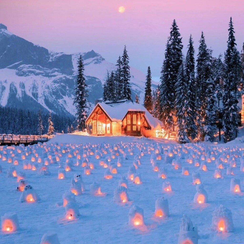 DANISH DESIGN tweet media