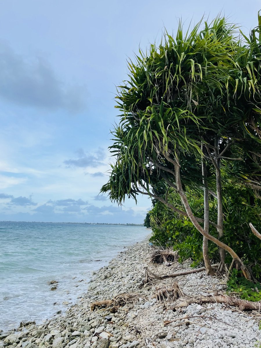 rafamoser's tweet photo. It’s shocking to see first hand #climatechange impacts on #SIDS and their communities. Here is a shot I recently took in #Tuvalu. We barely see the beach line. @UNCDFLoCAL has been supporting #locallyledadaptation across the country, bringing #climateaction where it’s needed most https://t.co/Fh2zjC8bOD