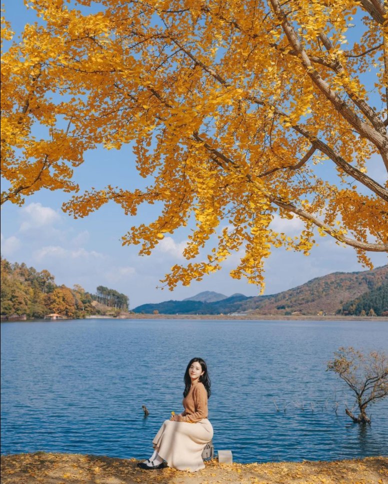 BellamyAndrew4's tweet photo. Mungwang Reservoir Ginkgo Tree Road, South Korea 🍂🍂
🌻 Mungwang Reservoir is a famous fishing spot in the area and was completed in 1978. Ginkgo trees are planted on the road leading to a fishing spot in the south of the reservoir and are known as autumn attractions.
#nature https://t.co/Angngt4HIG