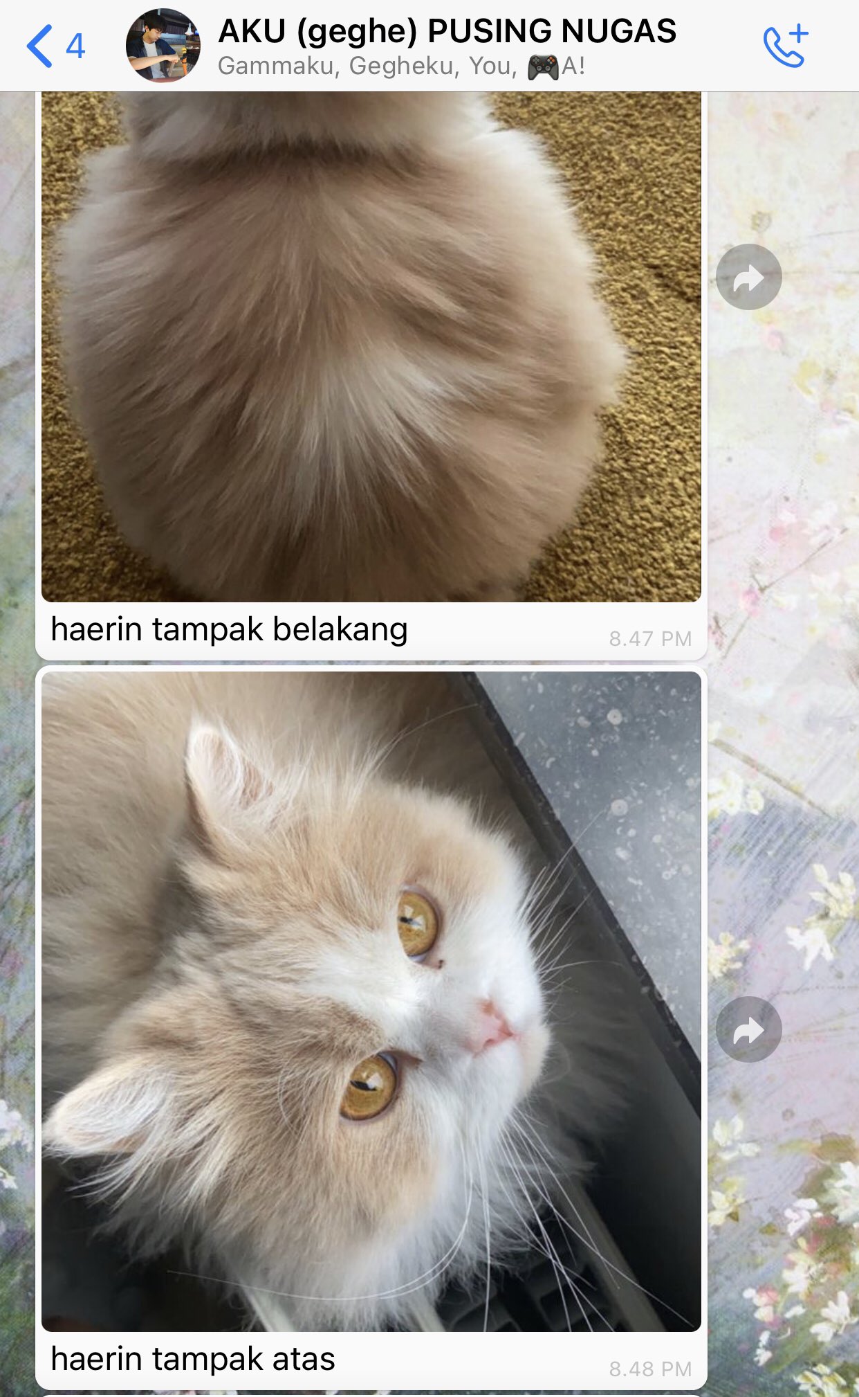 Isaa On Twitter Https T Co Oe4geoigk6 Twitter