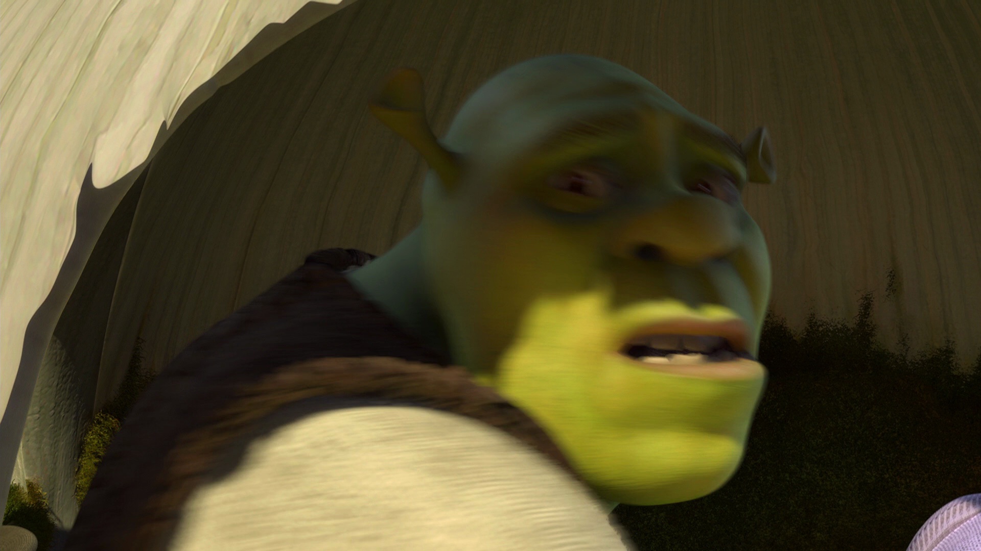 Shrek memes HD wallpapers