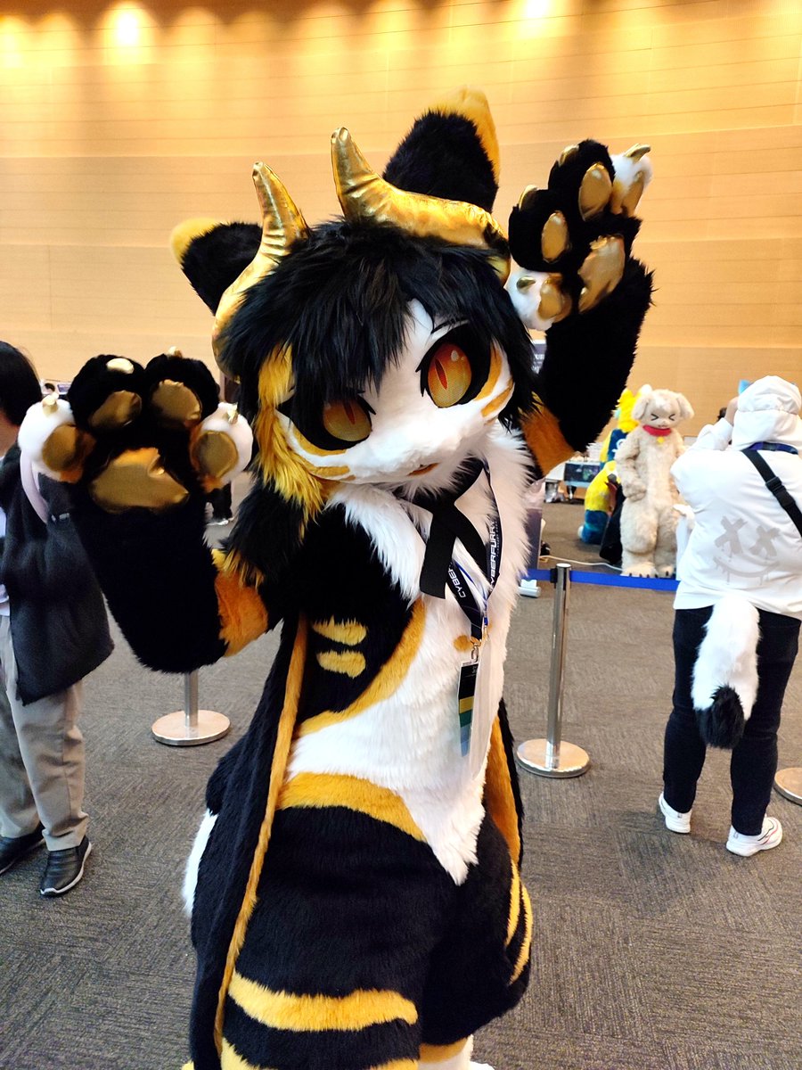 tailwin_d's tweet image. 퍼조 미리보기